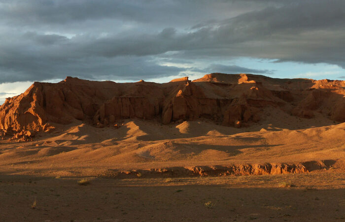 Roy Chapman Andrews - flaming cliffs