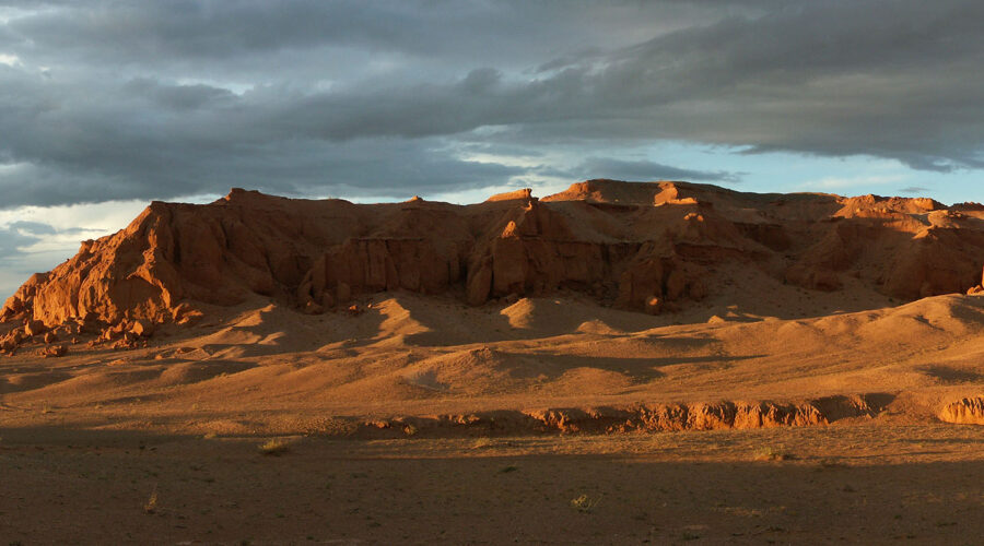 Roy Chapman Andrews - flaming cliffs