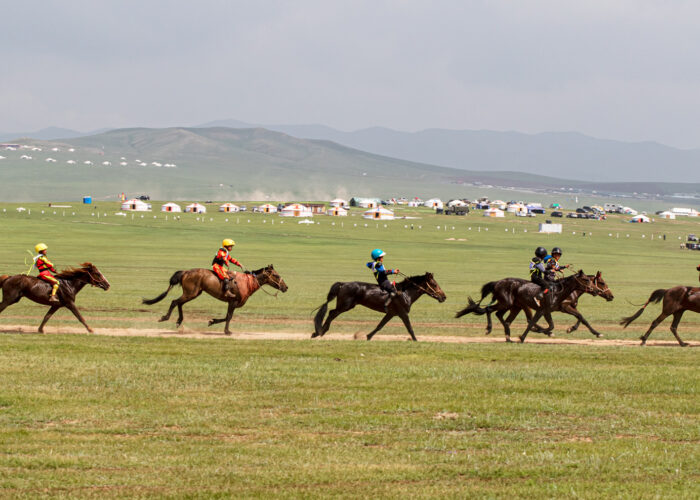 Nomadic Horse Racing - Naadam