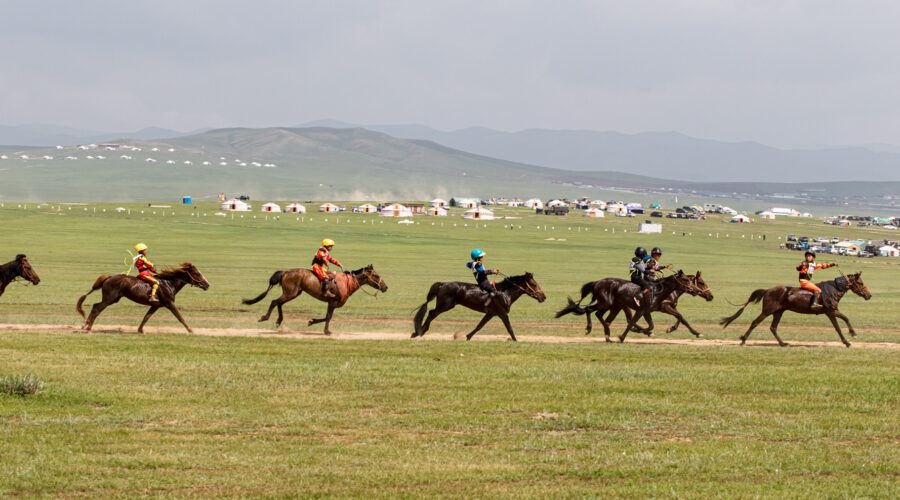 Nomadic Horse Racing - Naadam